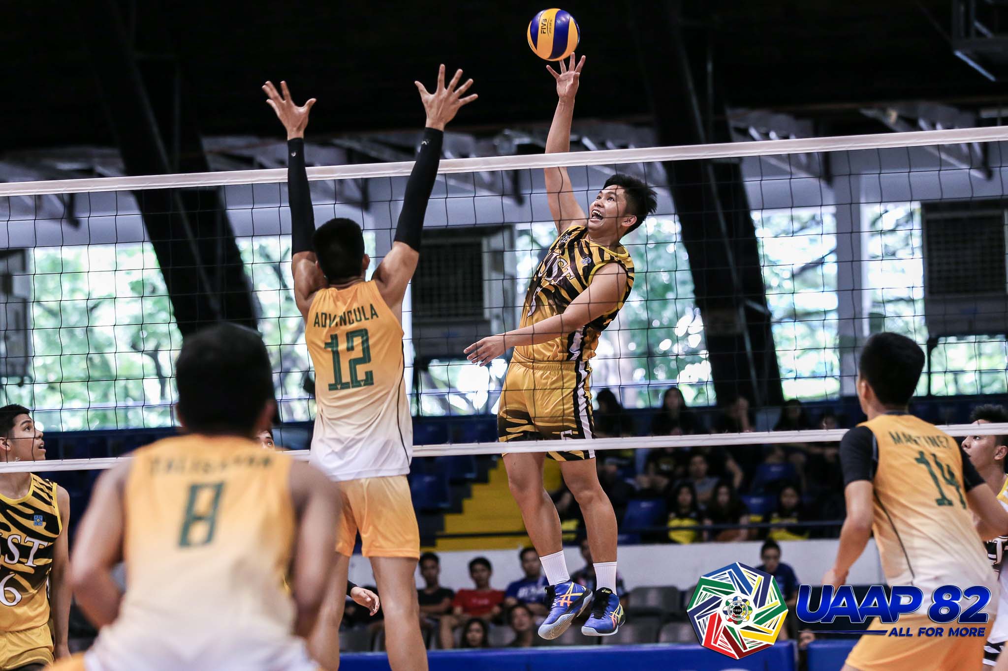 16-UAAP-S82-BVT-FINAL-4-UST-vs-FEU-UST-DE-VEGA-2 NU Bullpups, UST Tiger Cubs stay alive in UAAP Boys Volleyball Final Four FEU News NU UAAP UE UST Volleyball - philippine sports news