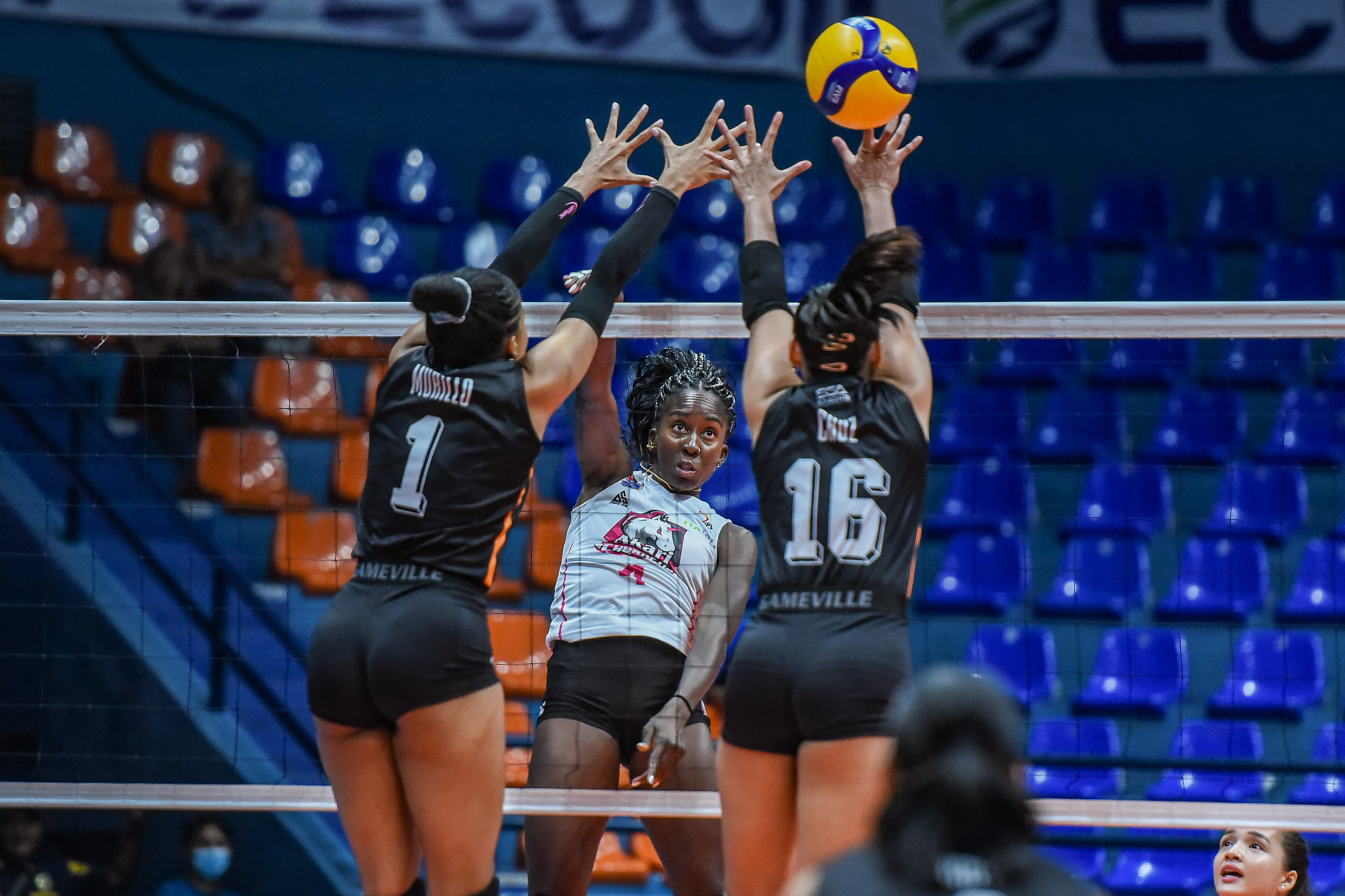 PVL-RC-2024-Akari-vs.-Farm-Fresh-Oly-Okaro-6999 Akari completes impressive PVL prelims sweep News PVL Volleyball - philippine sports news
