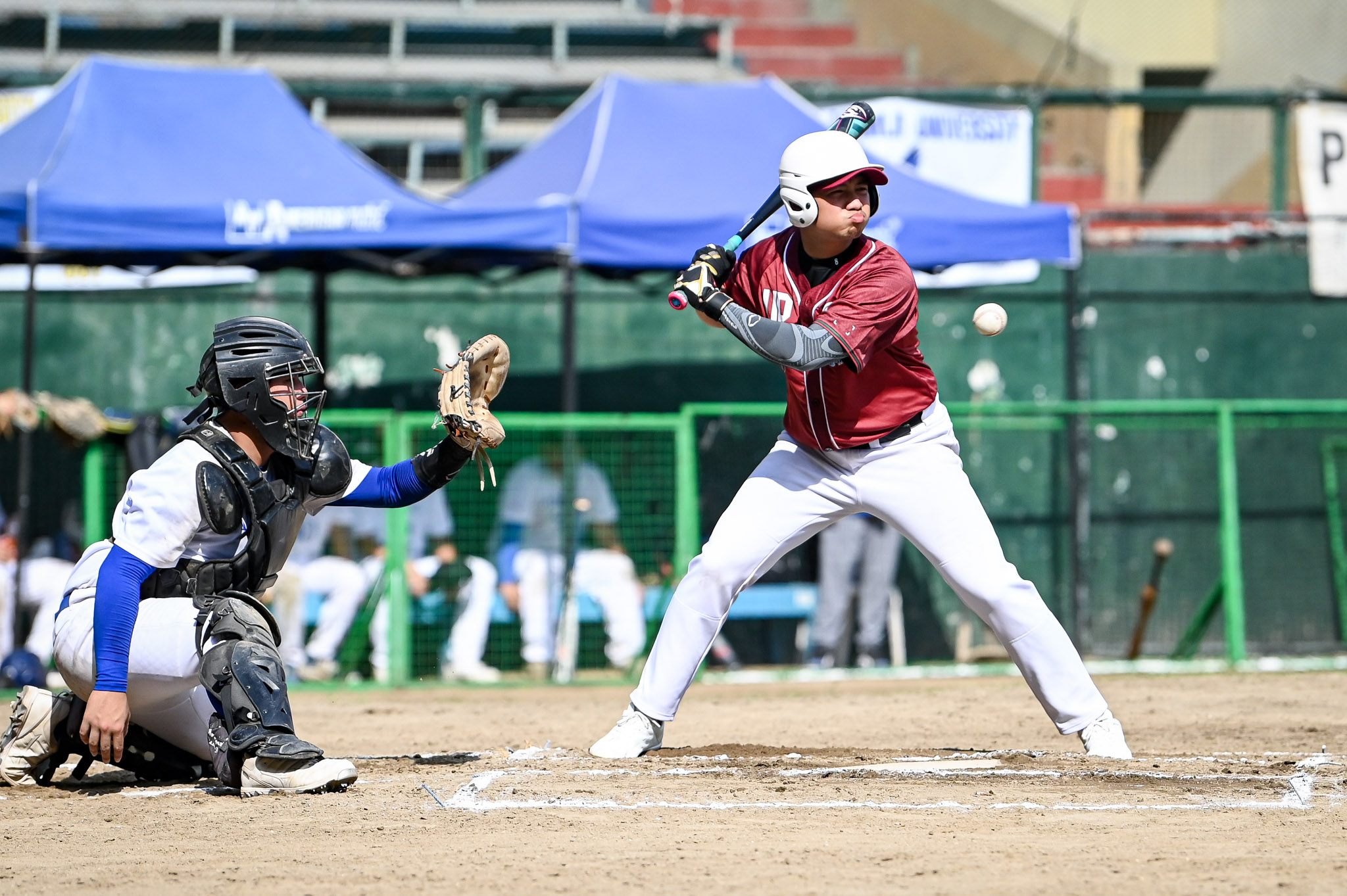 UAAP87-BASEBALL-VJ-MANGAHAS-5487 Lucas Atentido anchors Ateneo’s defense vs UP in breakthrough UAAP Baseball victory ADMU Baseball News UAAP UP - philippine sports news