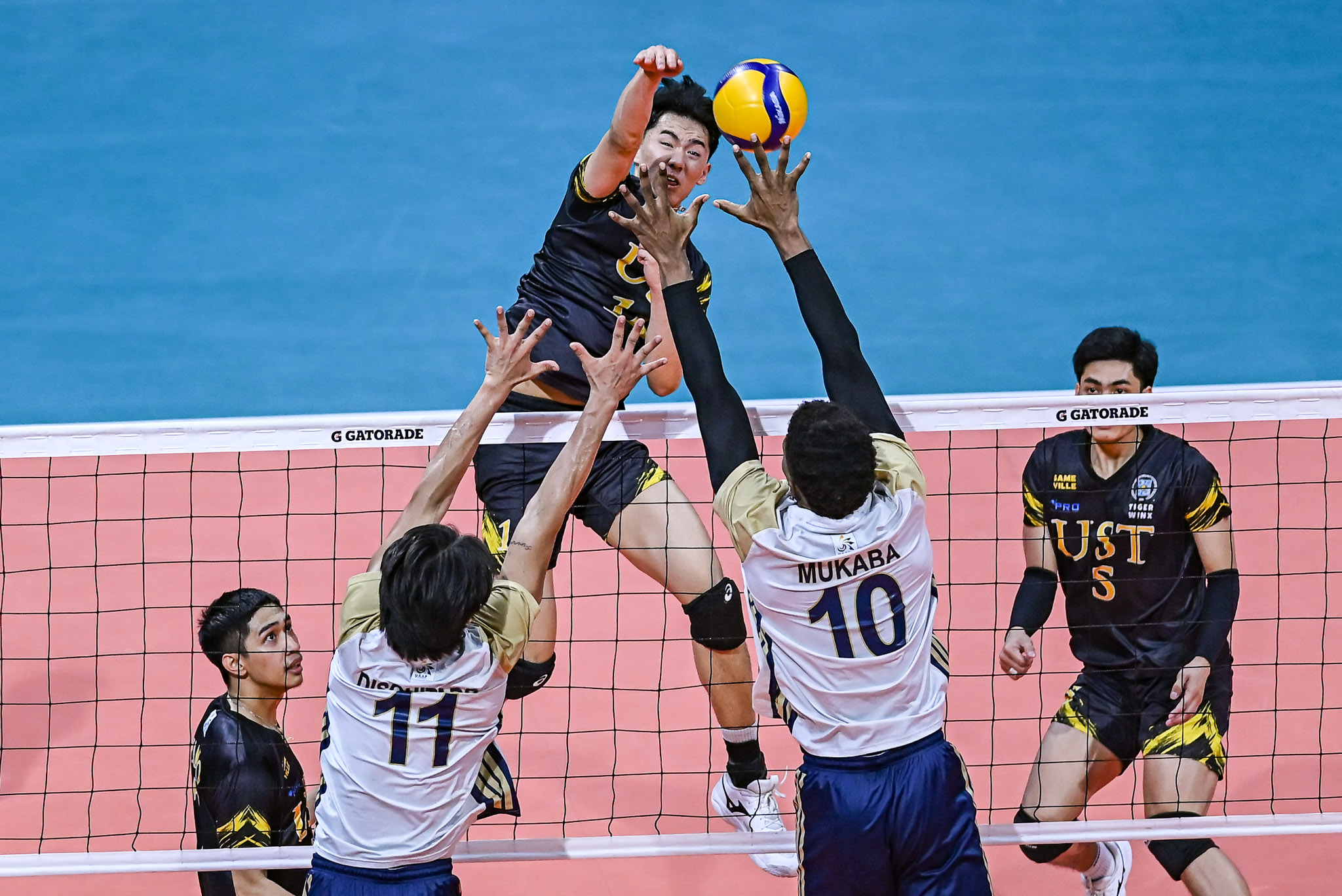 UAAP-88-MVB-NU-vs.-UST-Trevor-Valera-4888 UST stuns NU, forces playoff for UAAP Men's Volleyball second seed News NU UAAP UST Volleyball - philippine sports news