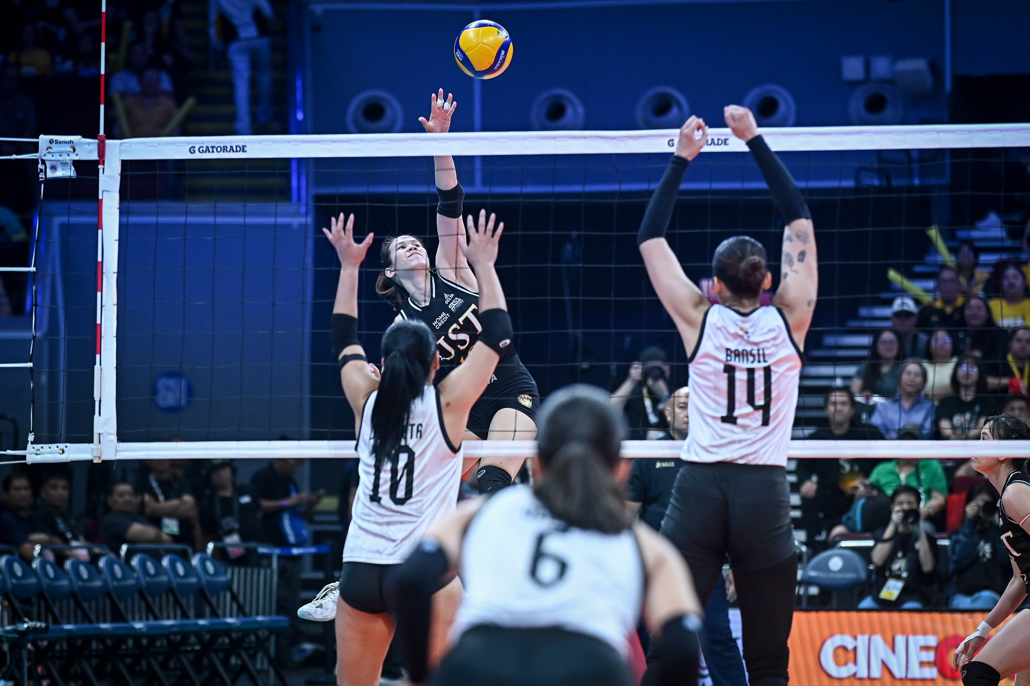 UAAP-88-WVB-UP-vs.-UST-Reg-Jurado-7038 UST clinches playoff for last UAAP Women's Volleyball Final Four after tough win over UP News UAAP UP UST Volleyball - philippine sports news